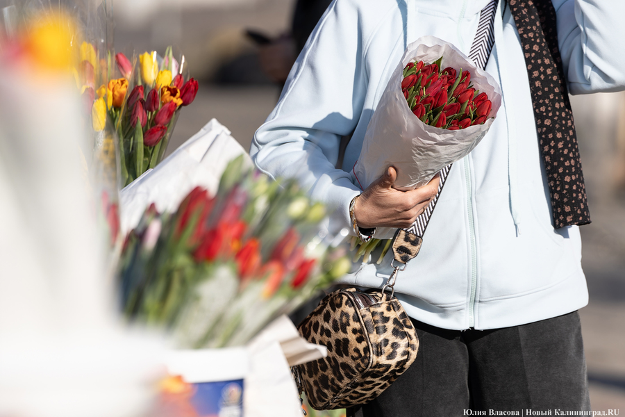 Кругом мимозы и тюльпаны: как выглядят улицы Калининграда 8 марта (фото)