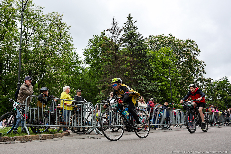 Лыжи, велики, унициклы: как прошёл велопарад в Калининграде (фото)