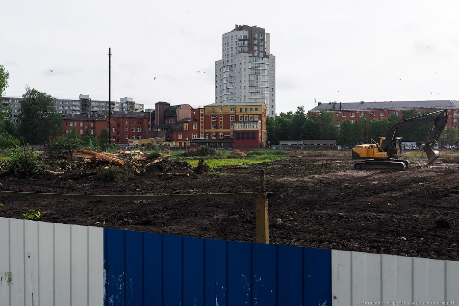 Началась вырубка на территории «Рыбной деревни-2»