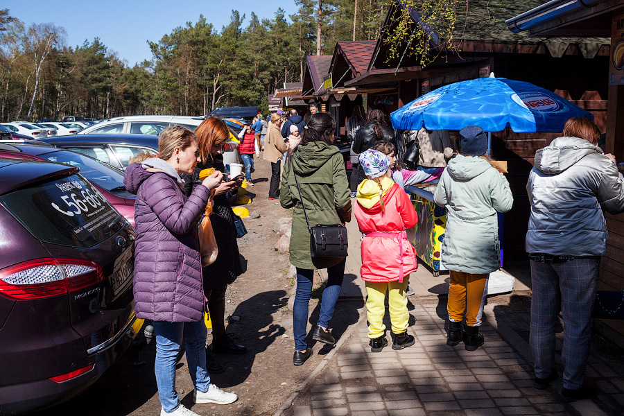 «Надо что-то делать, это нереально»: Куршская коса едва справляется с турпотоком