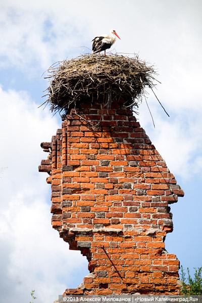 Заваренный вход и ажурные решетки: судьба кирхи в Знаменске после консервации