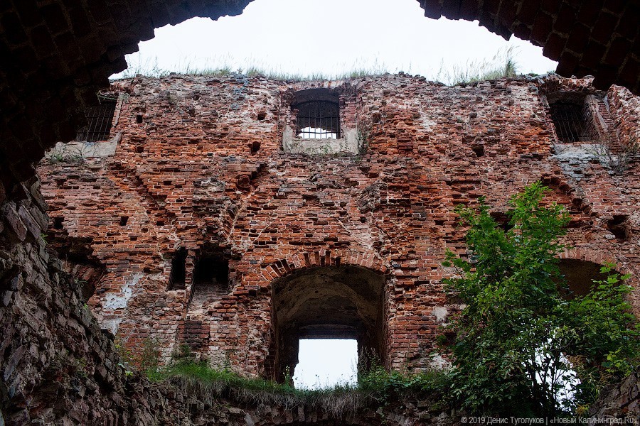 Сыроварня привлекла волонтеров к расчистке замка Рагнит в Немане