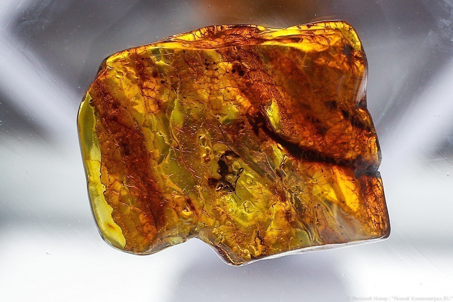 Янтарный комбинат снова перенёс начало добычи сырца из-за COVID-19