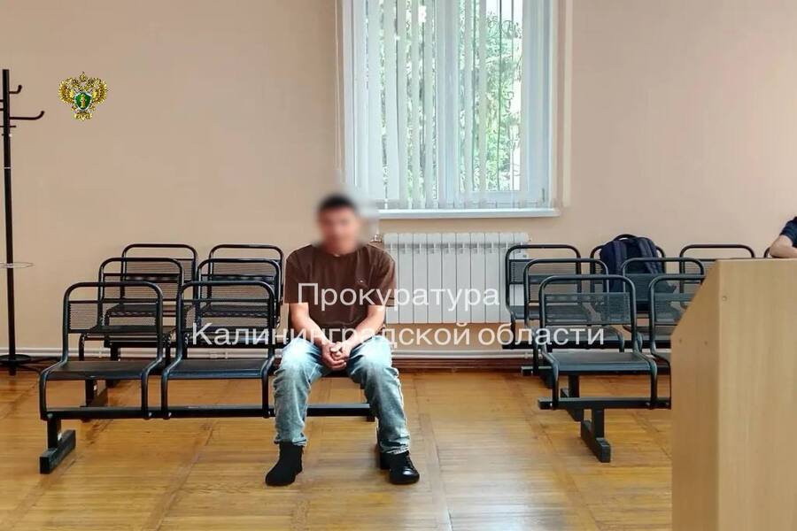 Жителя Гусева приговорили к принудительным работам за применение насилия к полицейскому