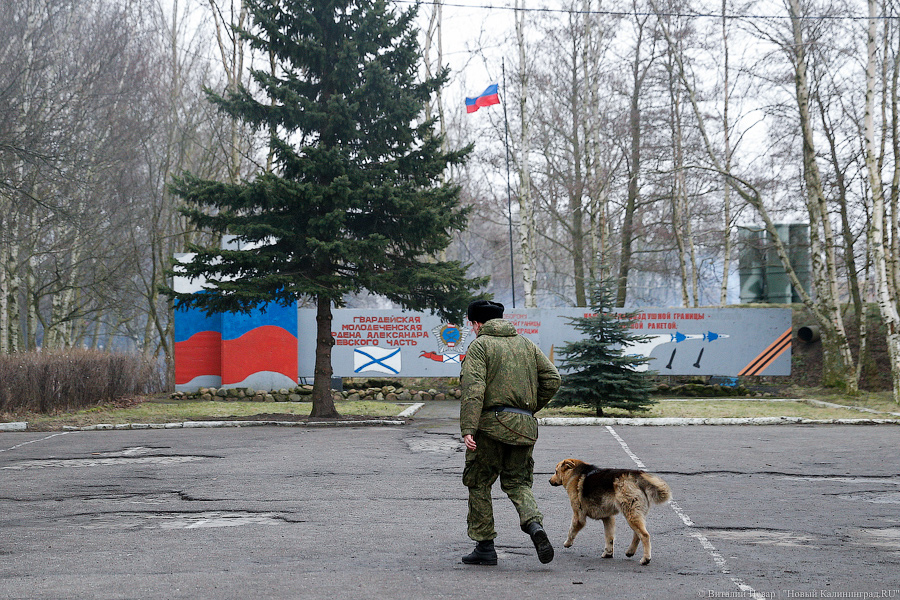 «Электронные пуски»: Балтфлот проверил готовность подразделений ПВО (фото)