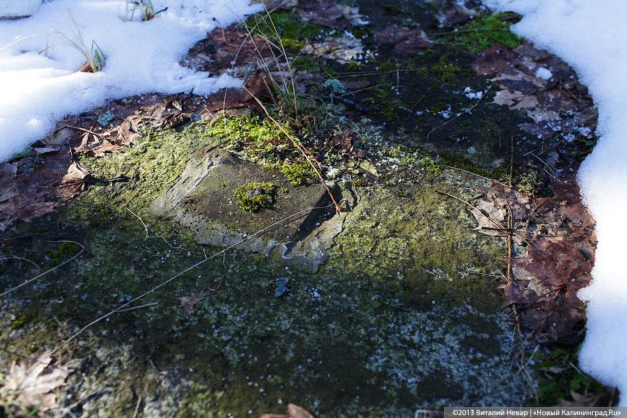 «Самый целый форт»: фоторепортаж из закрытого для посещений бастиона