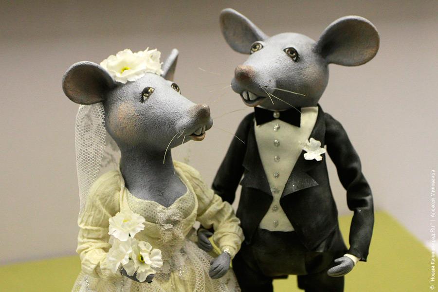 "На улице волшебных фонарей": фоторепортаж "Нового Калининграда.Ru"