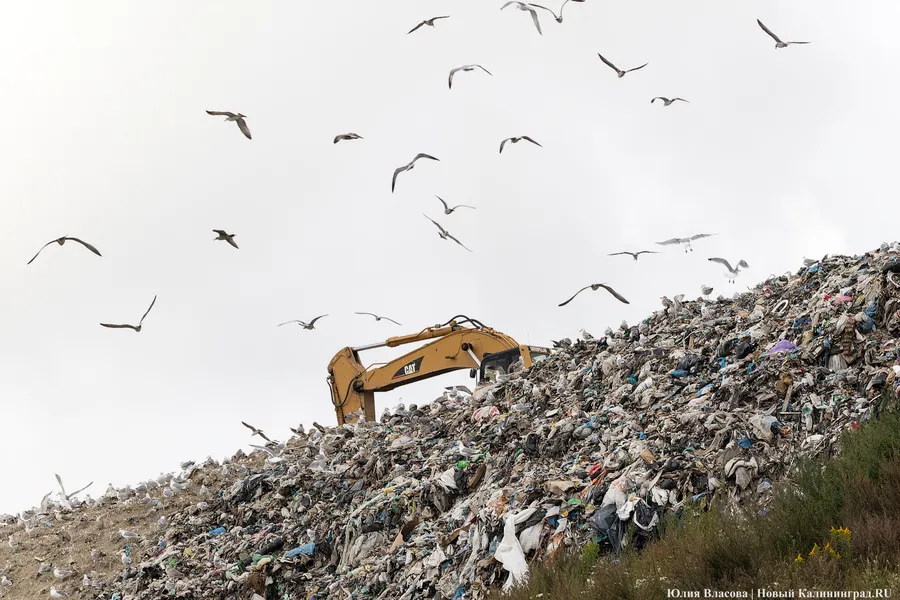 Власти рассматривают возможность расширения полигона ТБО в Барсуковке