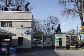 Город просит Цуканова проверить, почему было разрешено строительство у входа в зоопарк