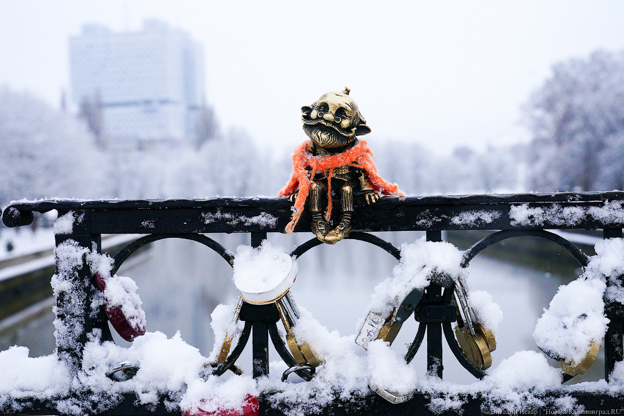 За ночь Калининград замело снегом. Вот как выглядел город утром 13 января (фото)