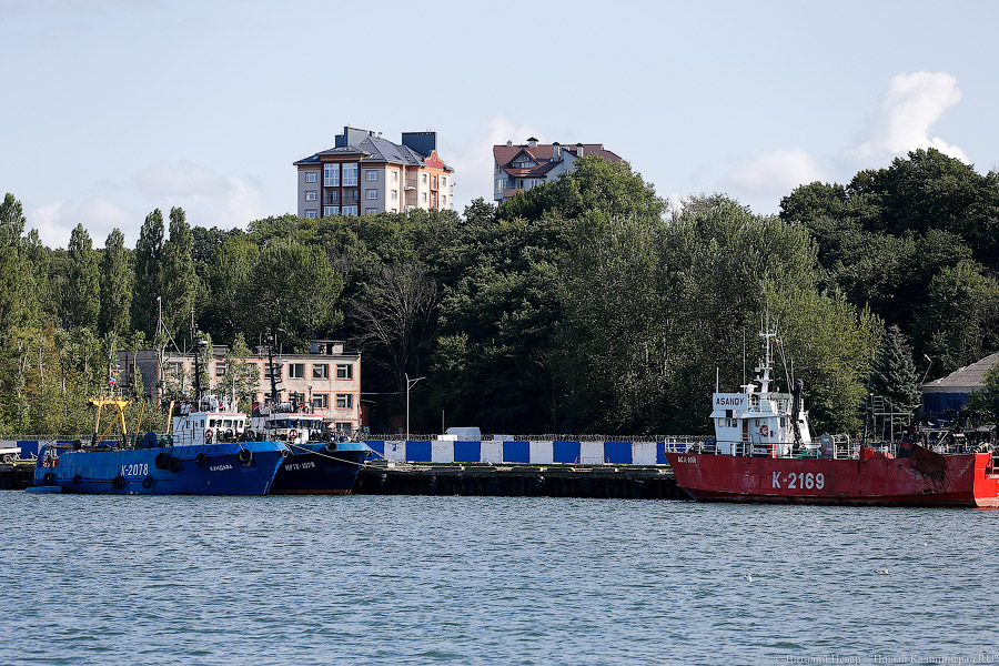 Медведев определил систему финансирования строительства круизного терминала в Пионерском
