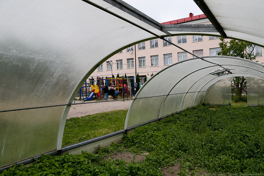 Навстречу лету: как в детском доме Зеленоградска День защиты детей отметили