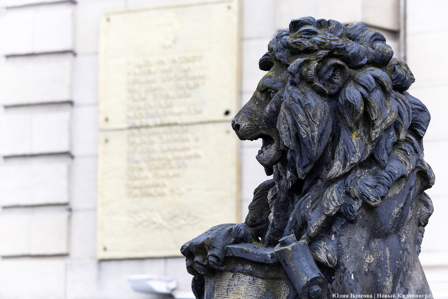 Восстановить и сохранить: скульптуры львов у бывшей биржи готовят к реставрации