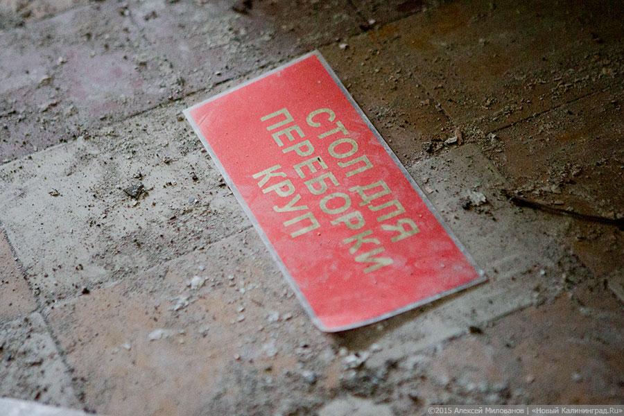 Благоденствие Отечества: военный городок Черняховска в проекте «Пустые дома»