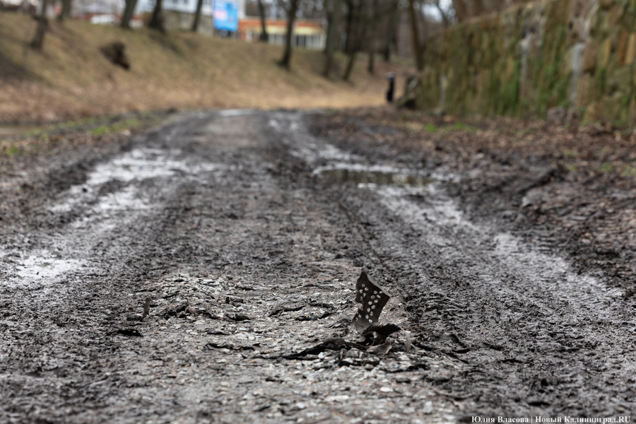 Непролазная грязь: как выглядит берег Литовского ручья в ожидании реновации (фото)