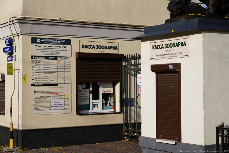 Калининградский зоопарк закрывается из-за шторма