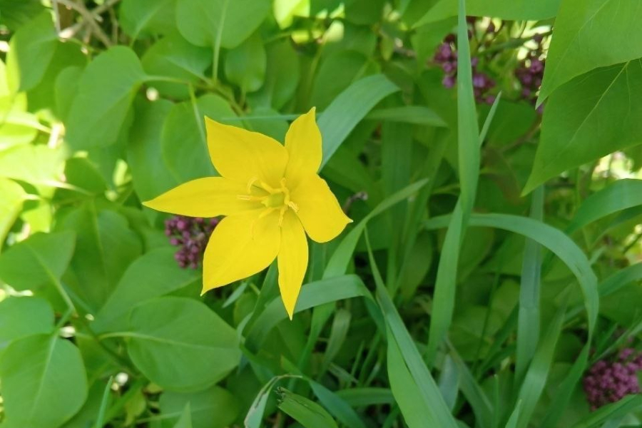 Фото: организаторы «Гербарий фест»