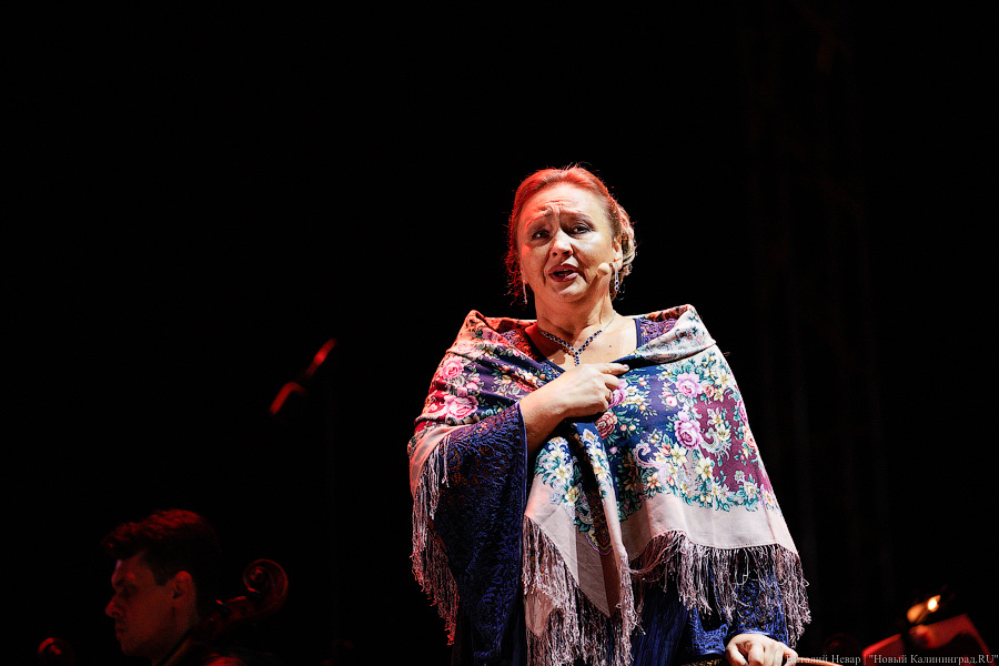 Опера с Хабенским: на острове Канта открылся фестиваль «Территория мира» (фото)