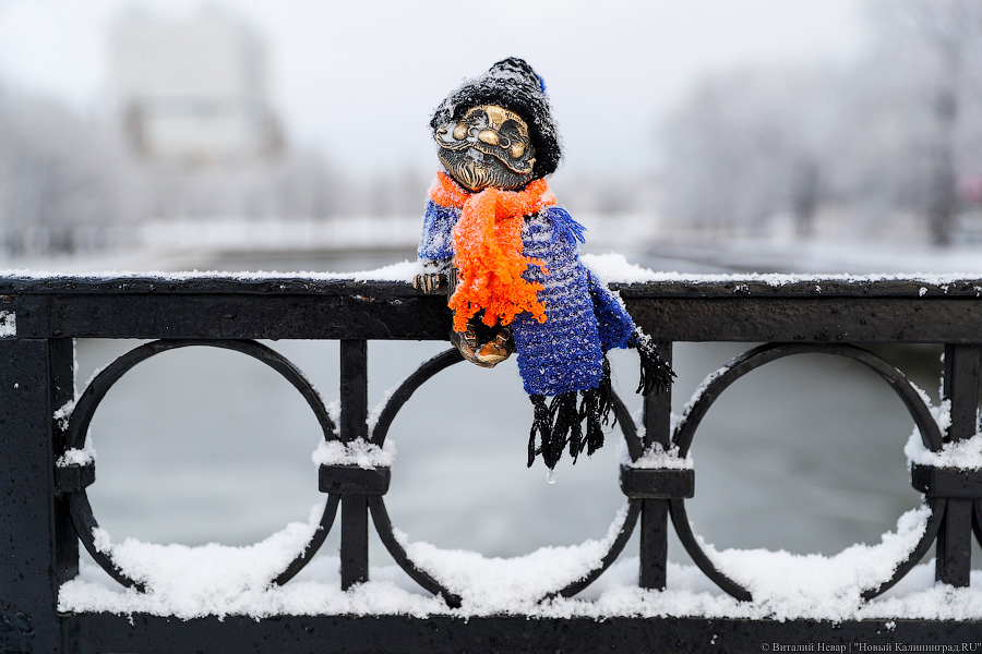 Синоптики прогнозируют похолодание в Калининграде