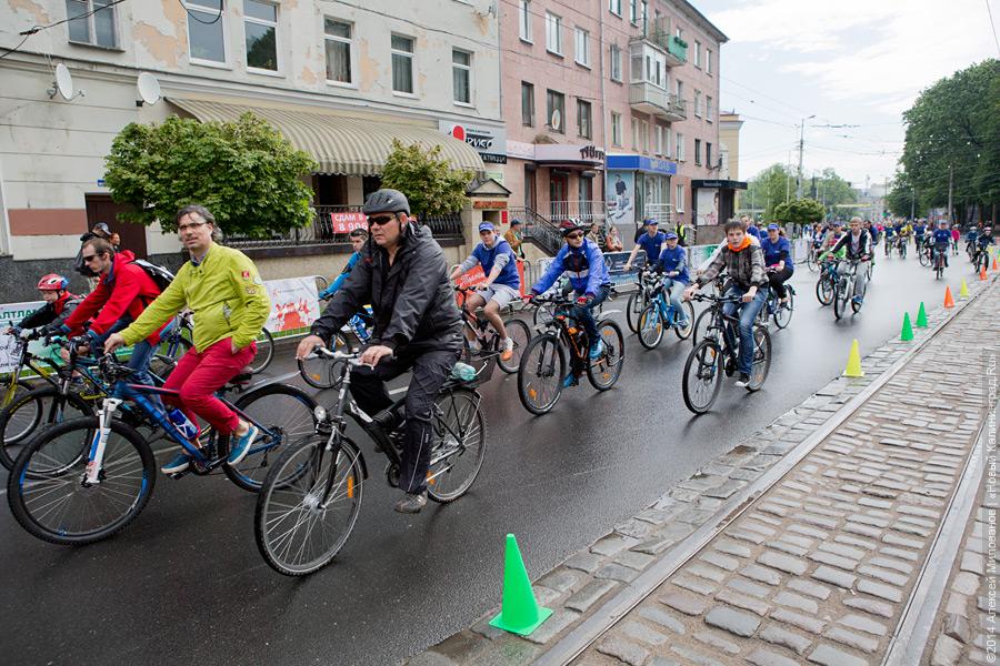 Распогодилось: что было на четвёртом калининградском «Дне колеса» (видео)