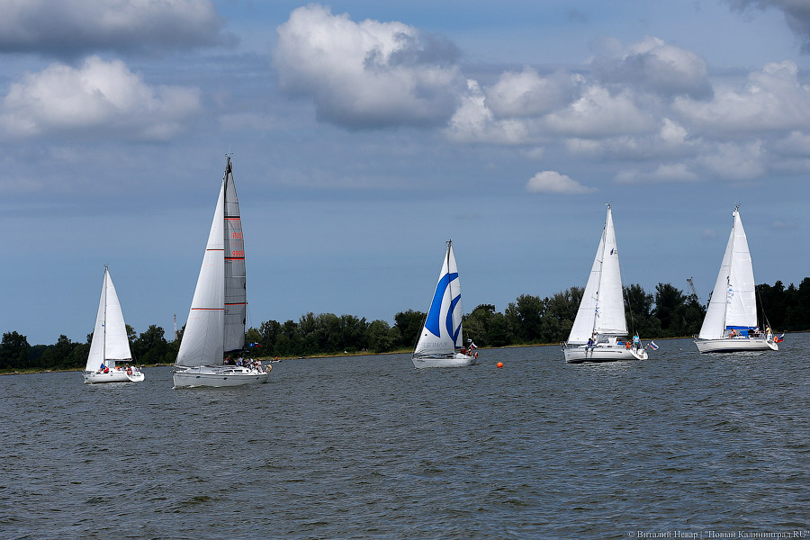 «Паруса духа»: как в Калининградском заливе инвалиды в регате побеждали