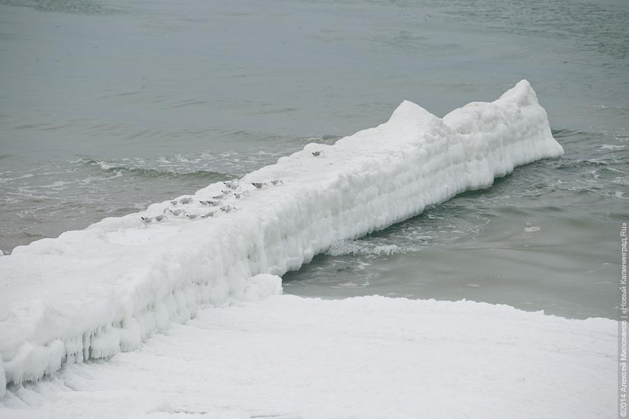 Недоморозило: холодам не удалось сковать льдом берег Балтийского моря