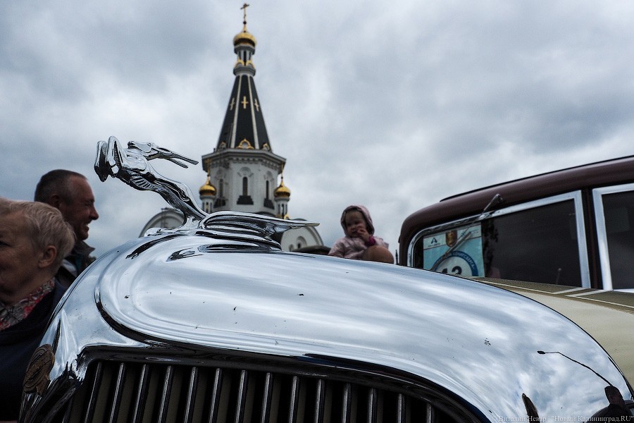 Без трупа в багажнике: в Калининграде прошел фестиваль ретроавтомобилей (фото)