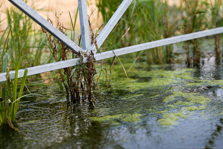 Дорожка для водного велосипеда: как тонут окрестности стадиона в Калининграде
