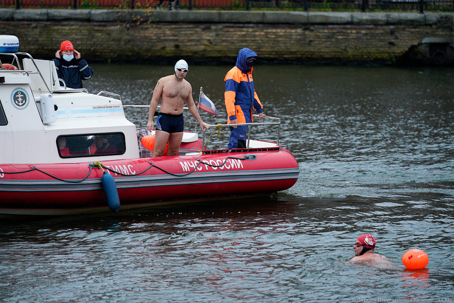 День моржа: как пловцы пытались защитить экосистему Преголи (фото)