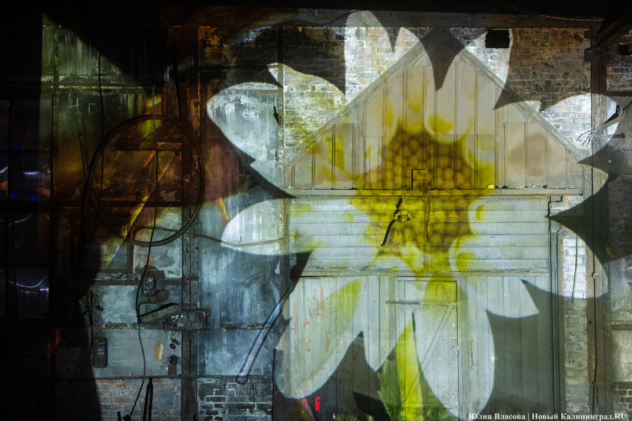 Индустриальные смыслы «Смены»: как прошёл фестиваль света в Кузнечном цехе (фото)