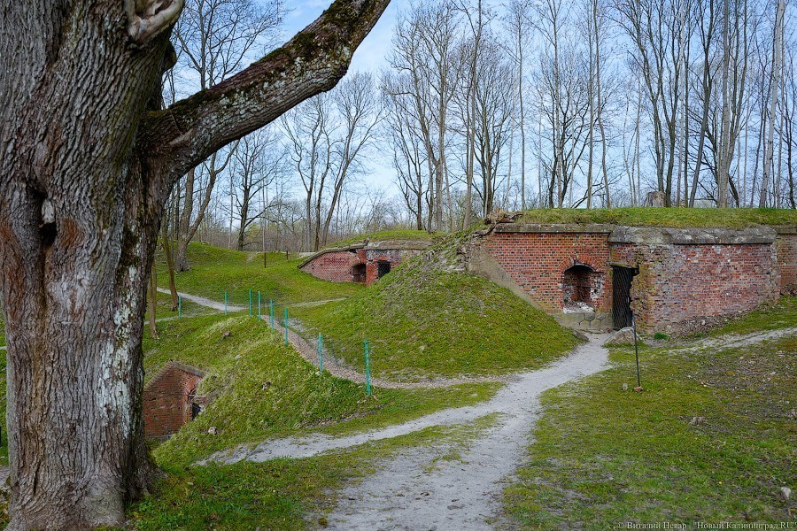 Виталий Невар / Новый Калининград