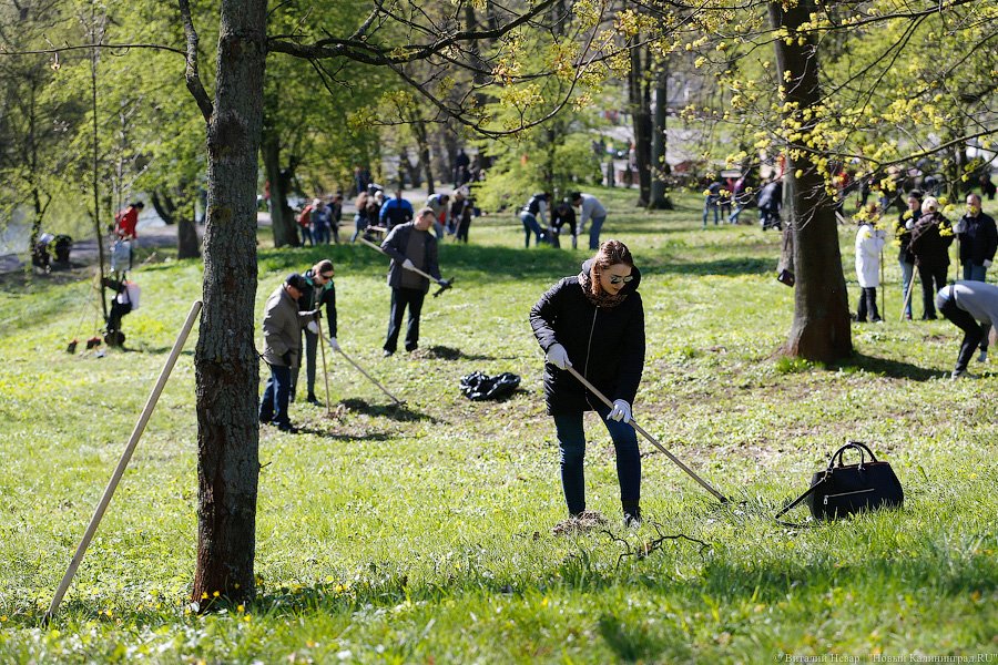 С метлой в руках: в парке Победы прошёл общегородской субботник