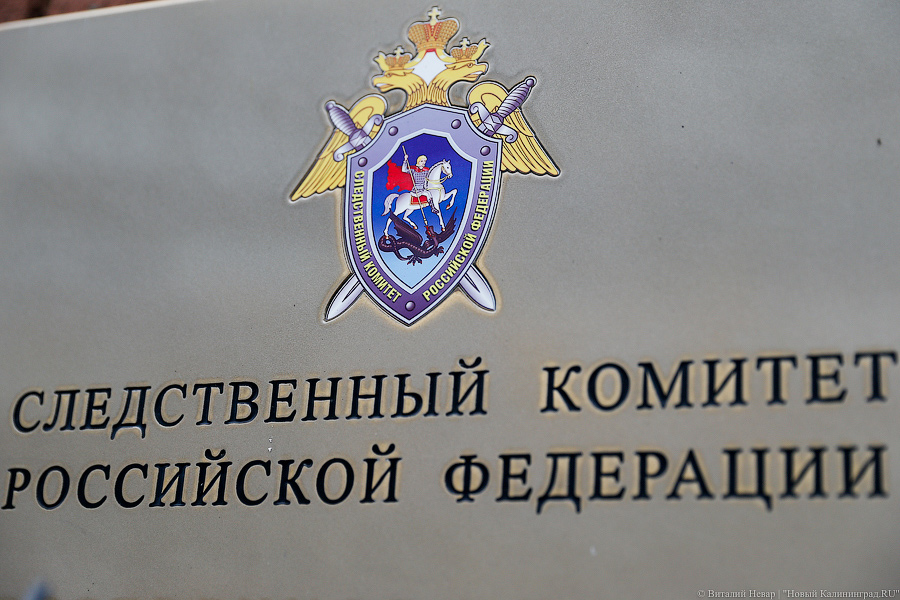 Глава регионального СК взял на контроль дело о драке подростков в Черняховске