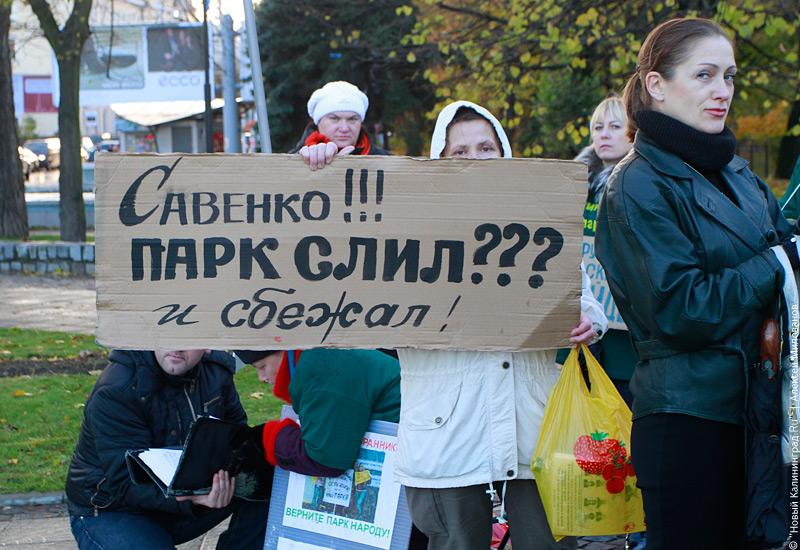 Защитники зеленых зон потребовали открытости со стороны властей