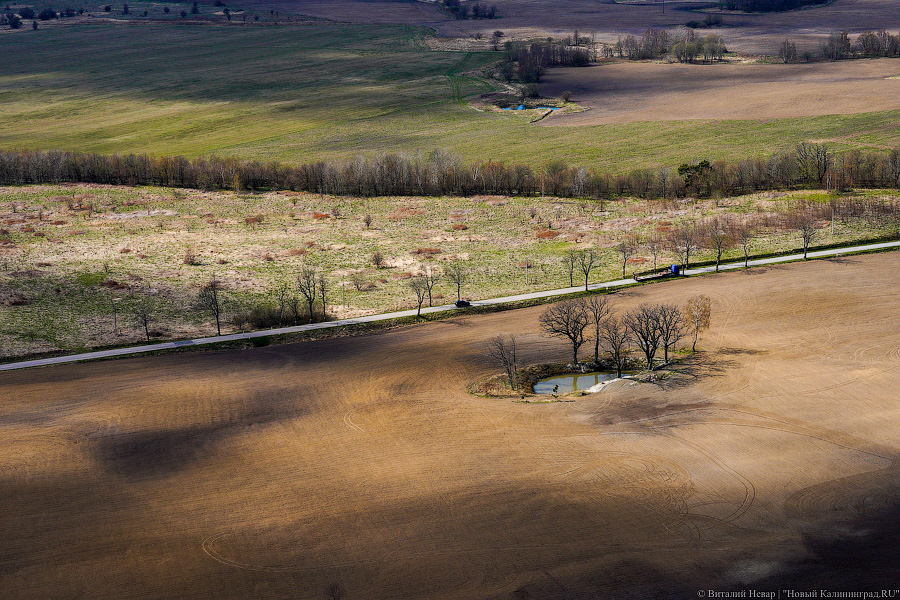 Под винтом вертолёта о чем-то поёт: воздушный парад глазами участника (фото)