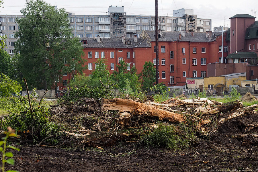 Началась вырубка на территории «Рыбной деревни-2»