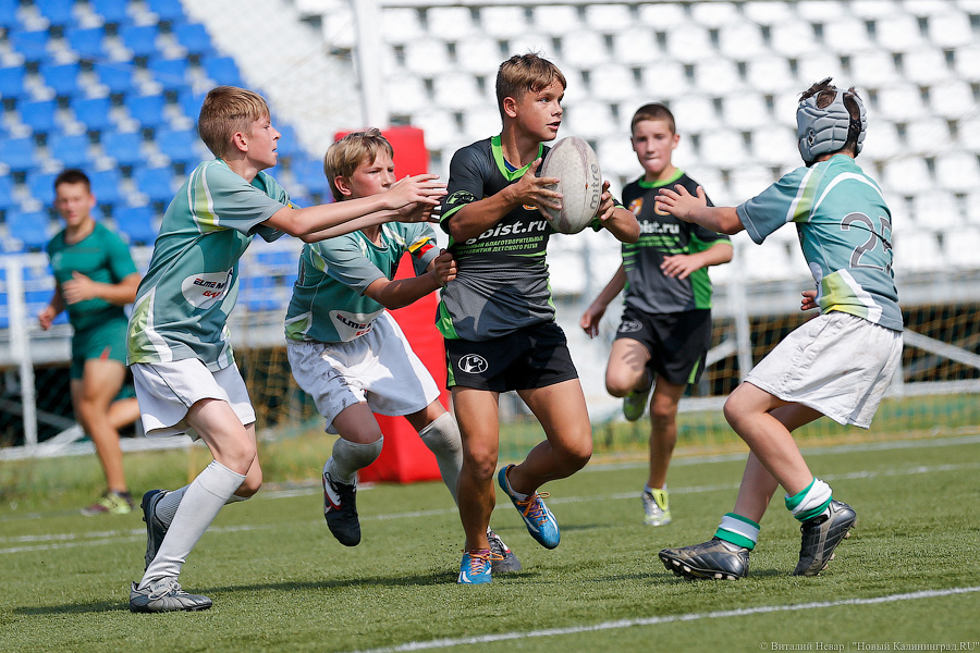 С овальным мячом: как в Калининграде прошёл турнир по регби (фото)