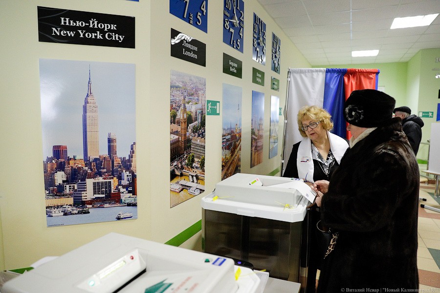 За гречку и тушёнку: как калининградцы выбирали президента России (фото)