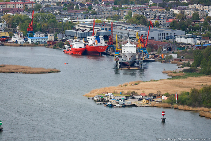 Мне сверху видно все: репетиция воздушного парада в Калининграде (фото)