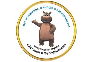 Когда старость для вашей собаки будет в радость