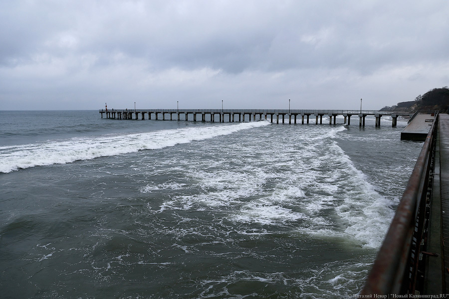 Фото: Виталий Невар / Новый Калининград
