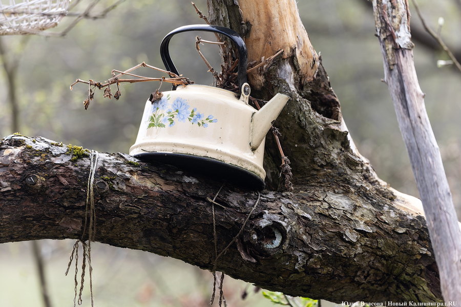 Электрошок по-калининградски: тариф за свет для села увеличили почти вдвое