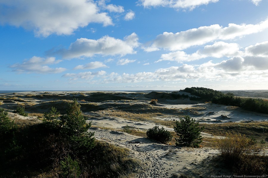В нацпарке рассказали, как будут бороться с пробками на Куршской косе 