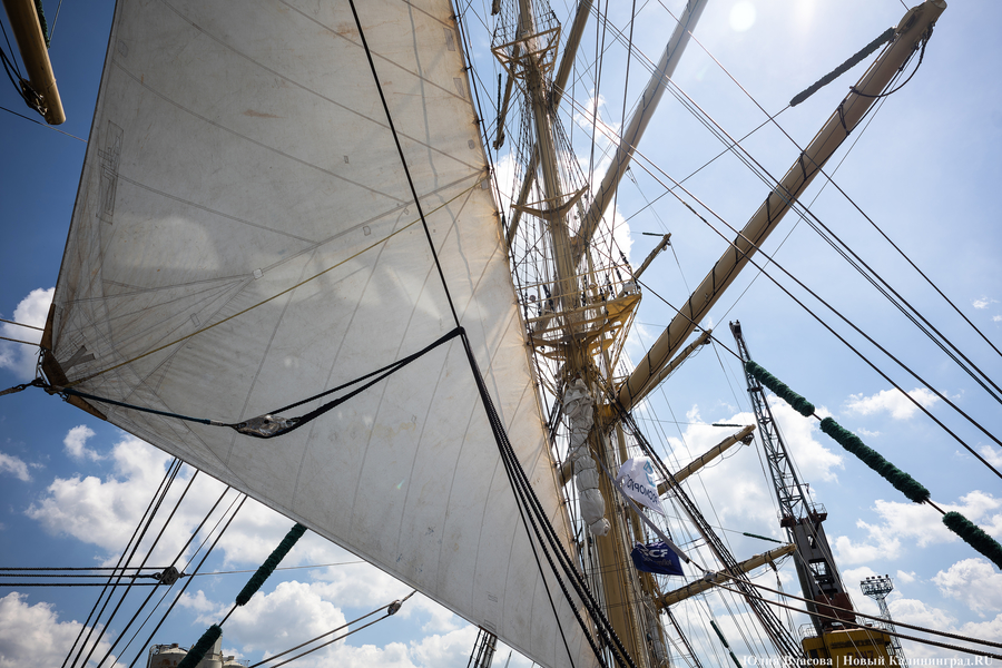 Верёвки, мачты, моряки: в Калининграде открылся фестиваль «Паруса Мира» (фото)