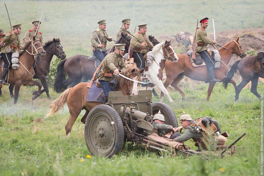 Фото Алексея Милованова, «Новый Калининград.Ru»