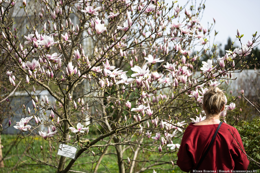 От гроз к летним температурам: погодный обзор на первую половину недели 