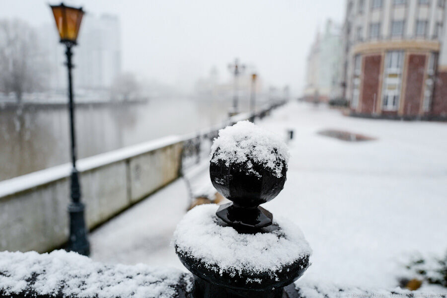 Полярное вторжение: в конце недели Калининградскую область ждут морозы и снегопады