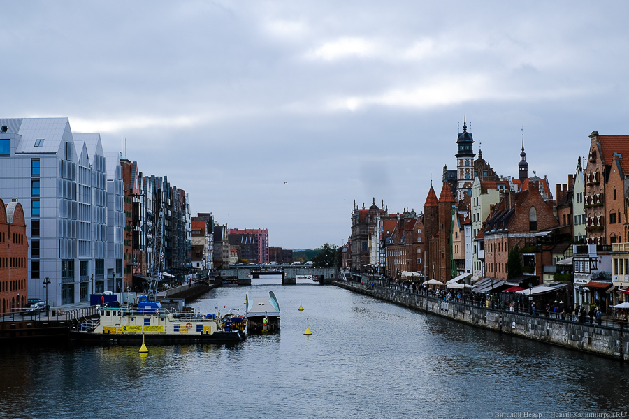 Власти Польши представили план снятия коронавирусных ограничений в мае