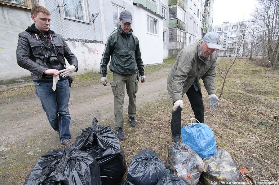 "Чистый лес: 115 на 40": фоторепортаж "Нового Калининграда.Ru" 