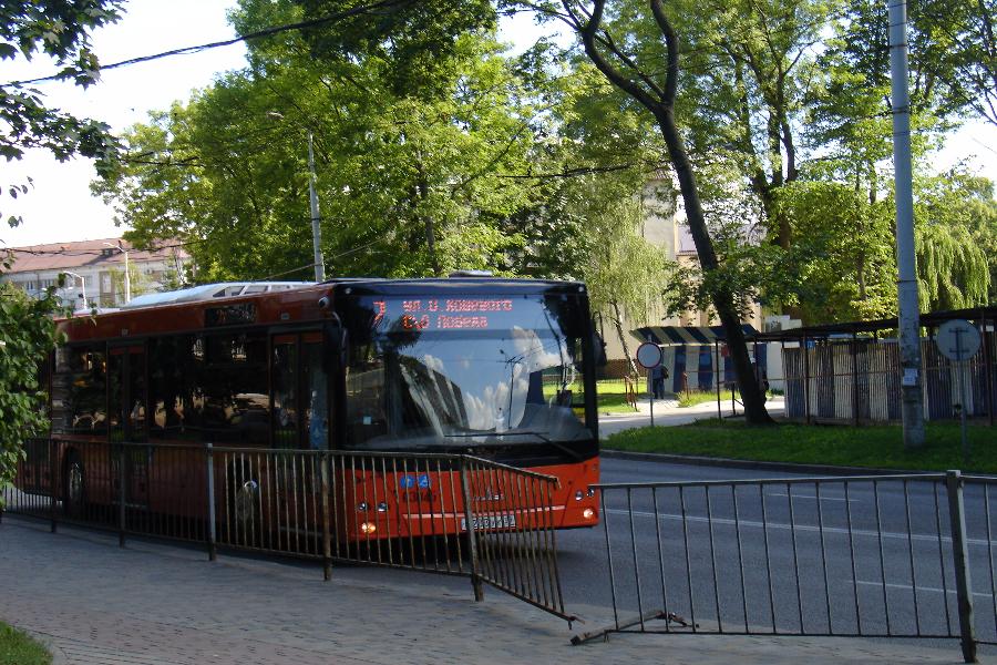 Два в одном: как в Калининграде автобусы маршруты делили